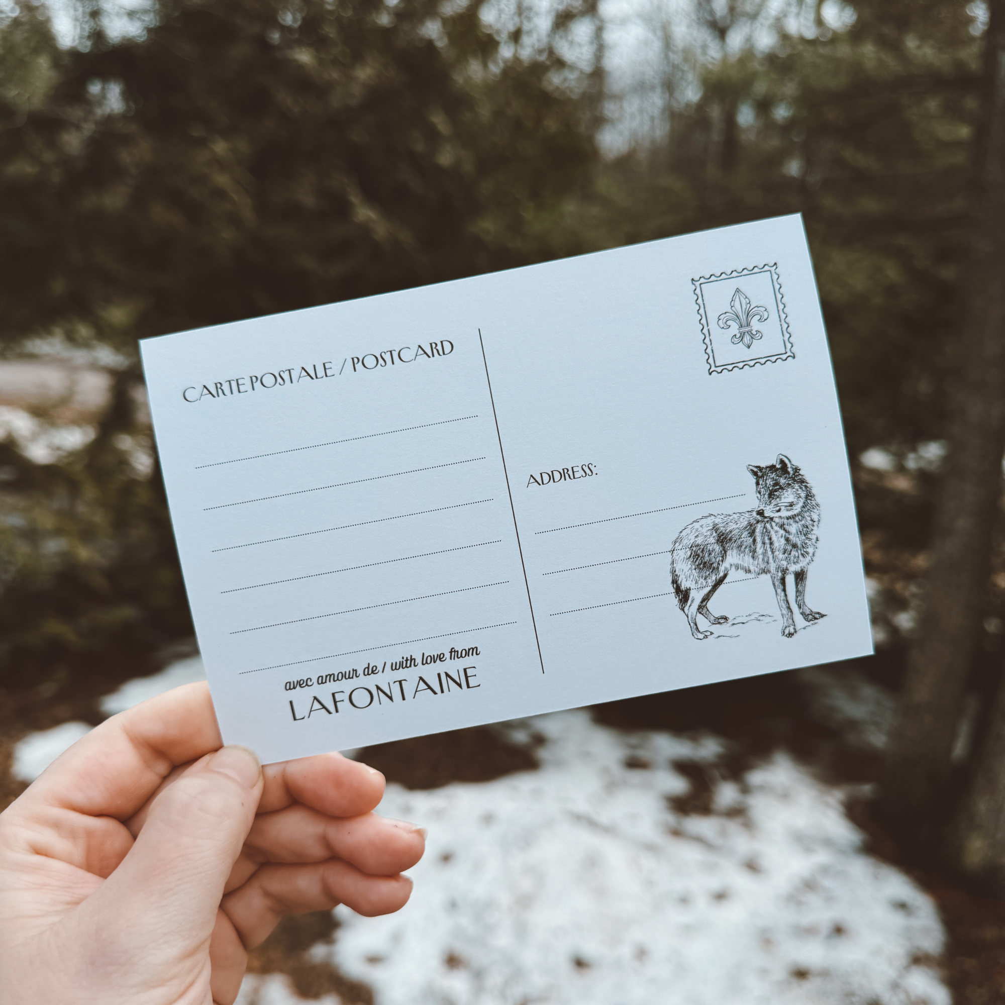 le loup de lafontaine postcard