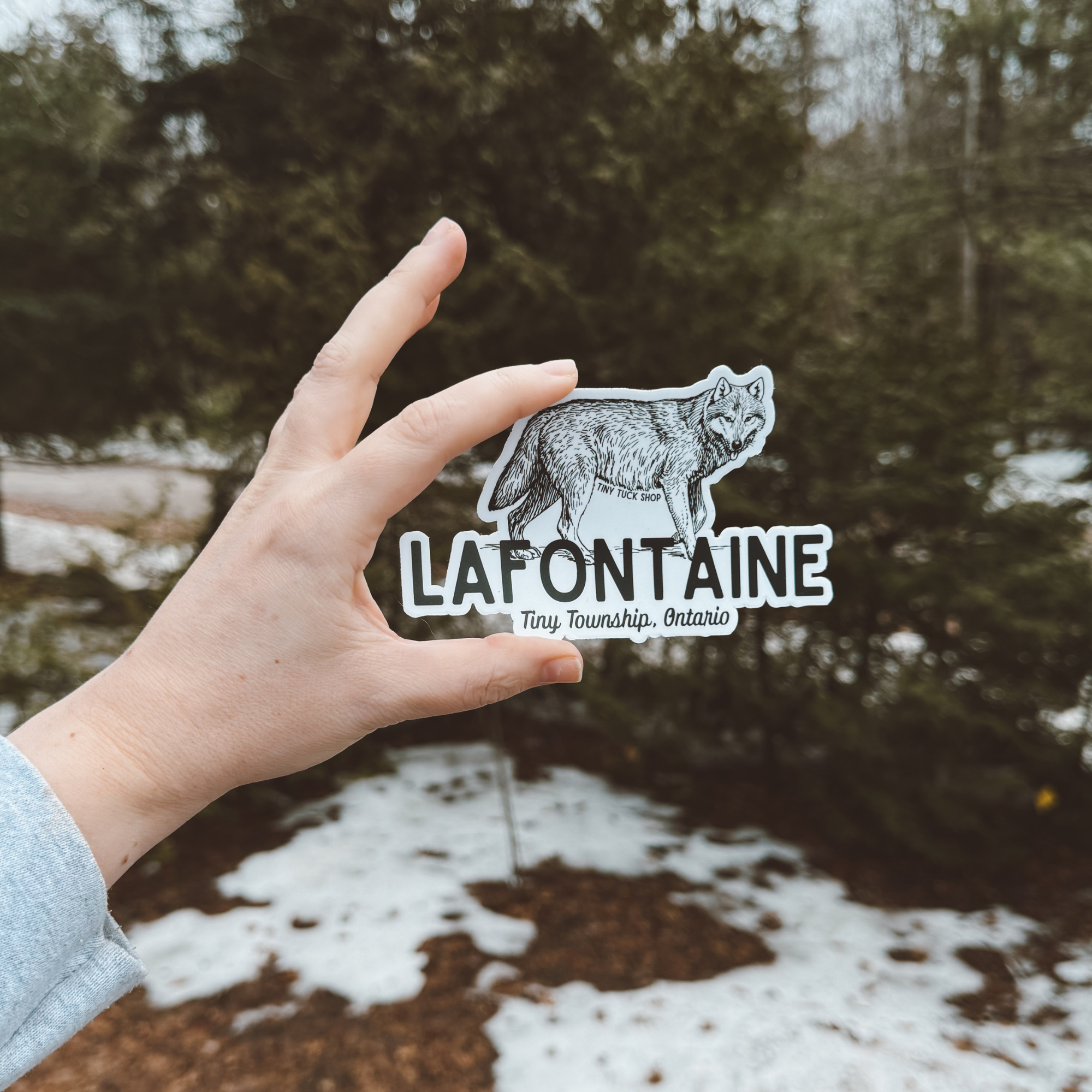 le loup de lafontaine sticker