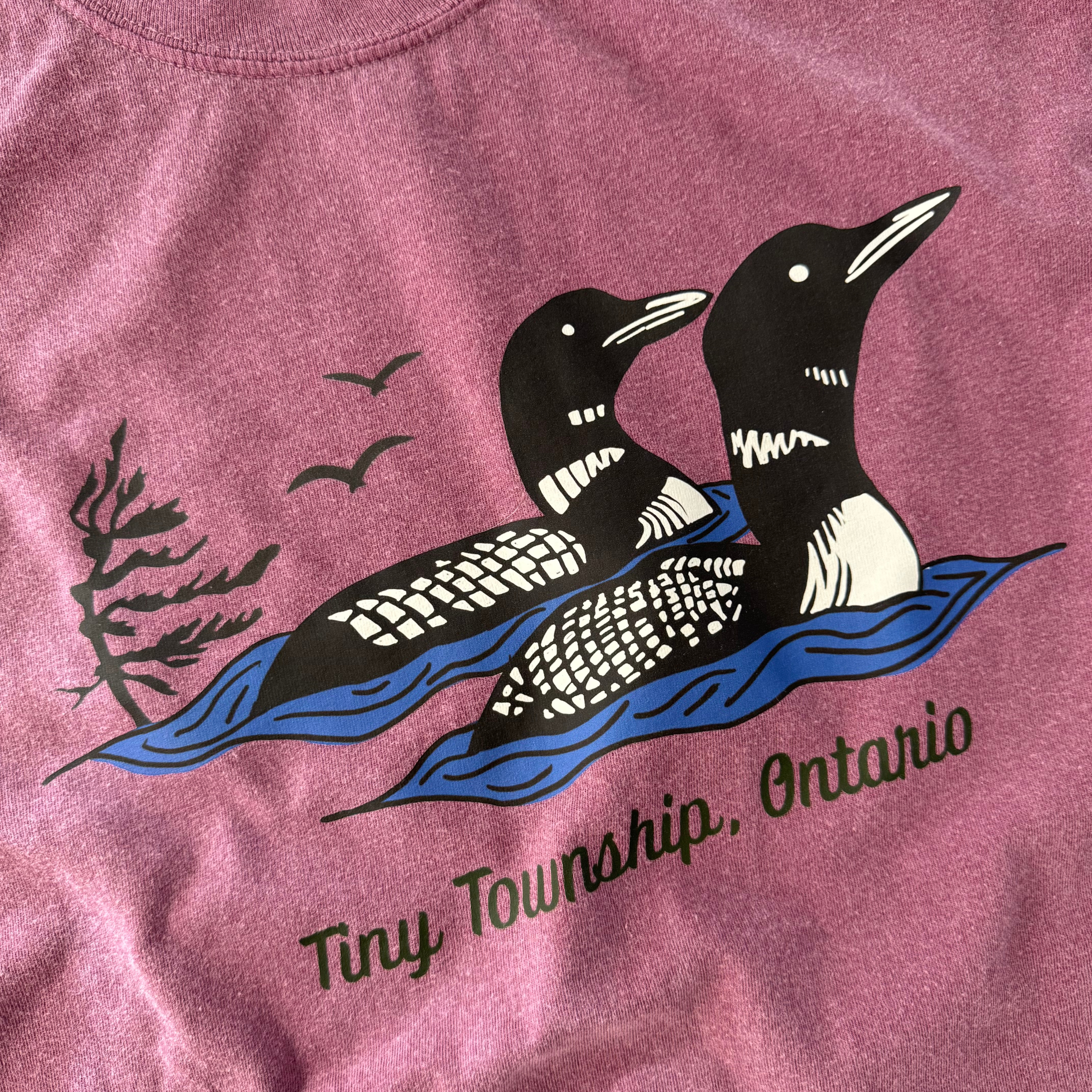 the loon tee / longsleeve
