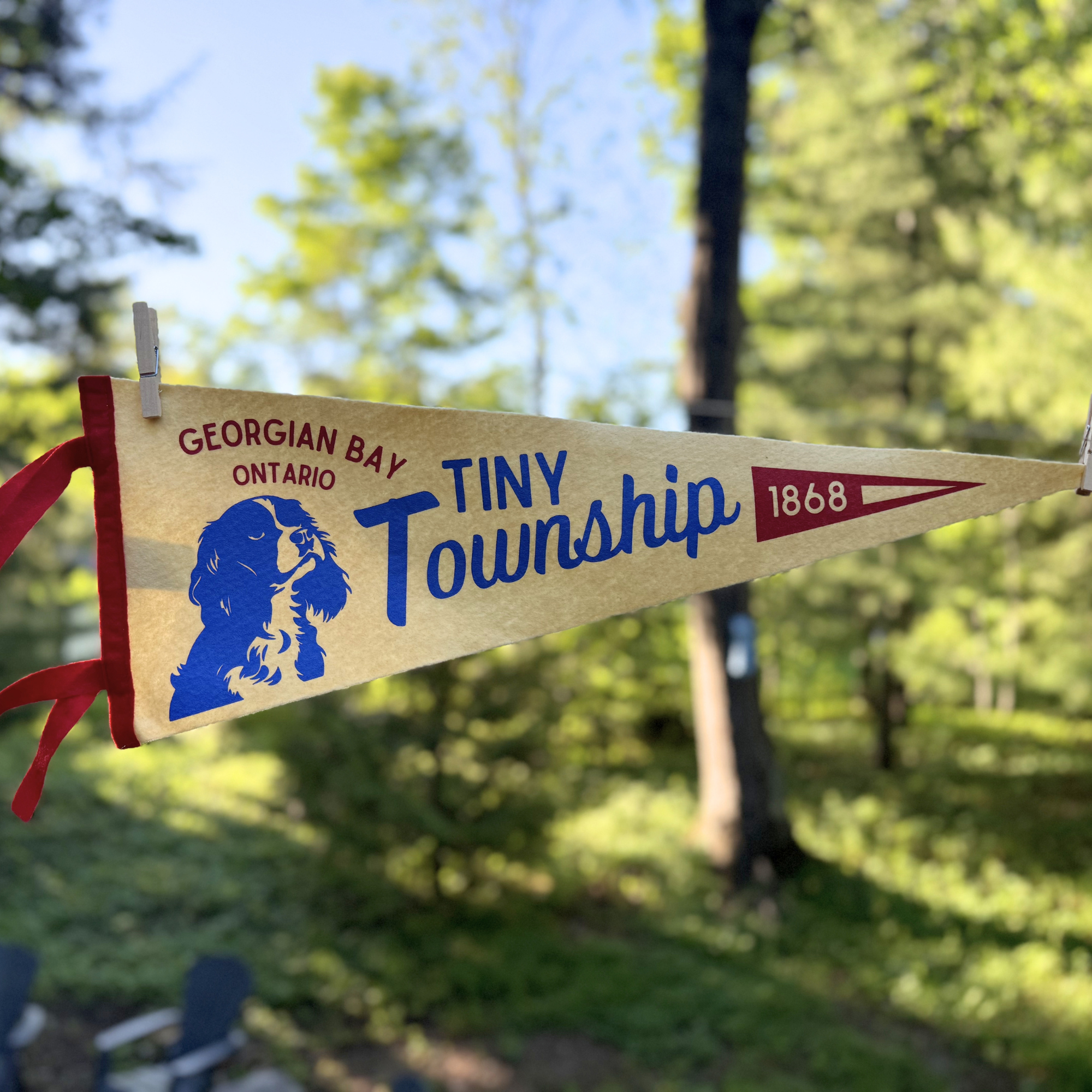 Tiny Township Pennant
