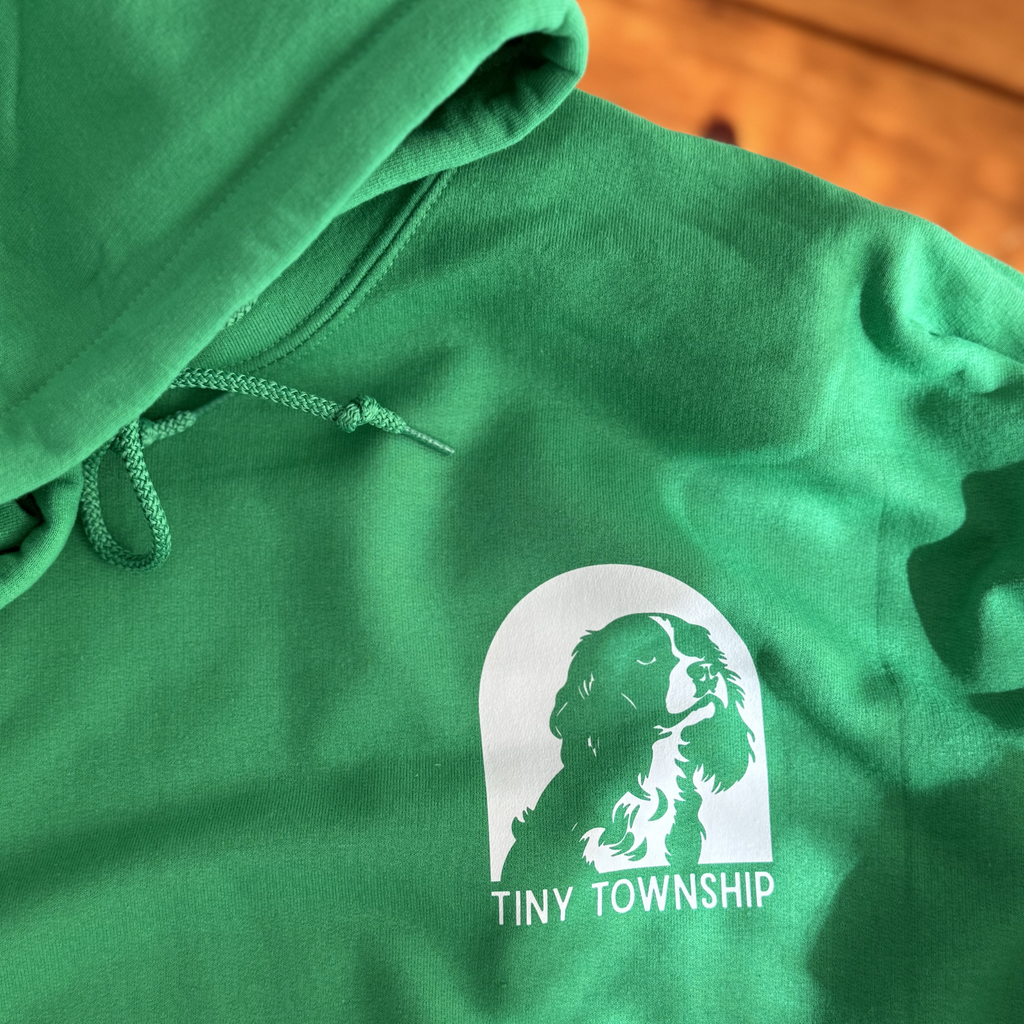 the dog hoodie