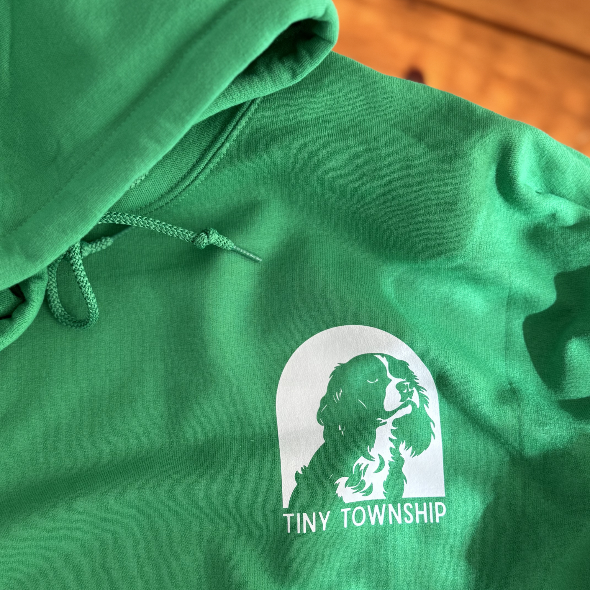 the dog hoodie