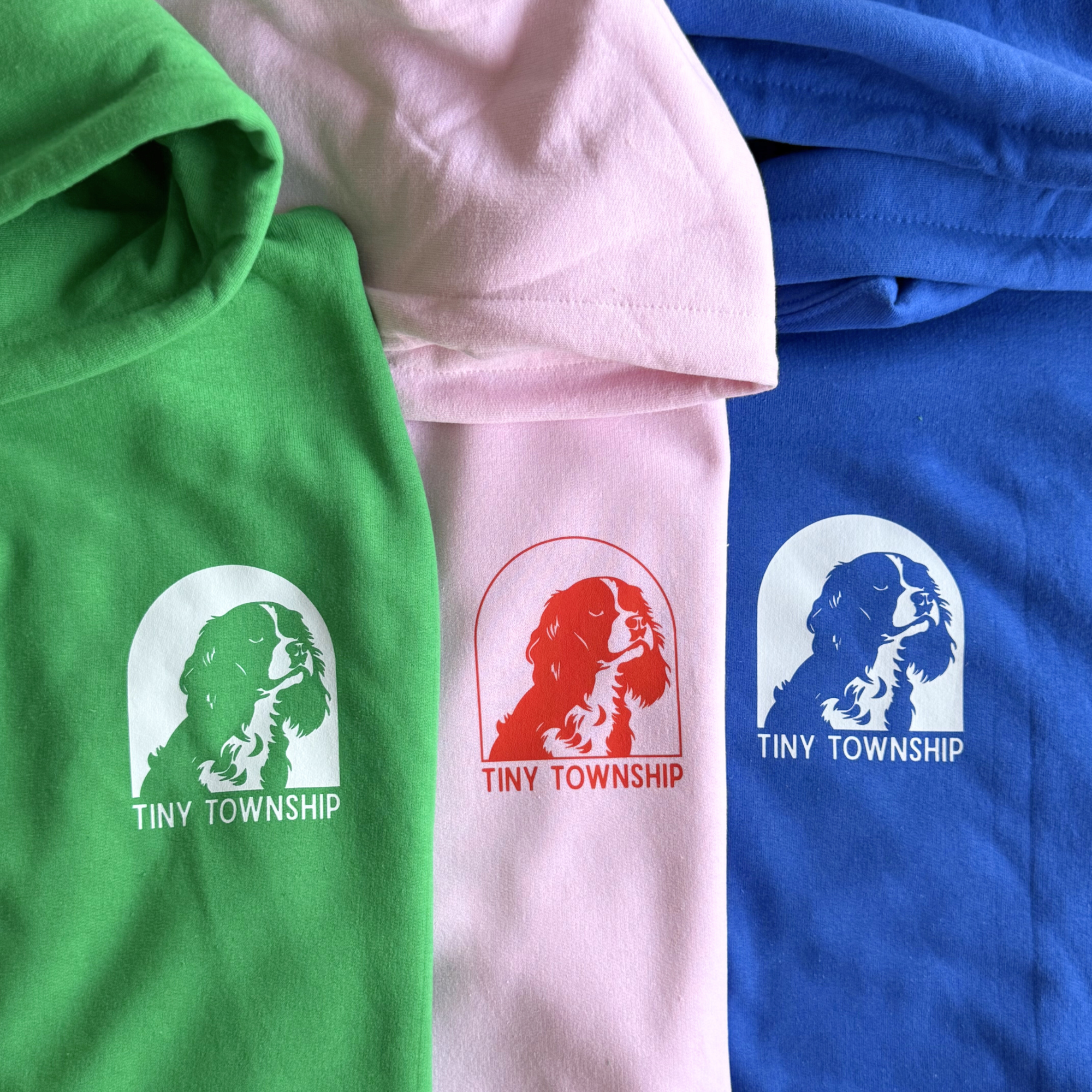 the dog hoodie