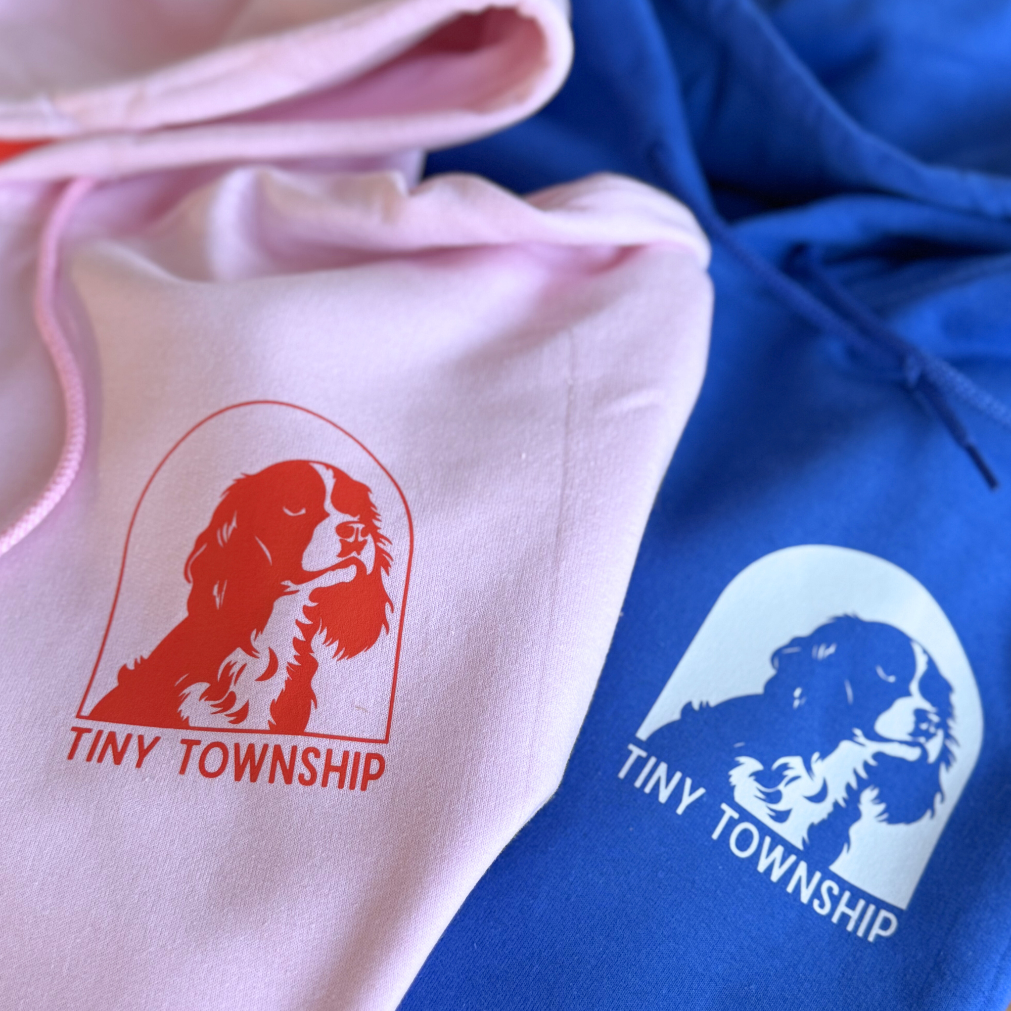 the dog hoodie
