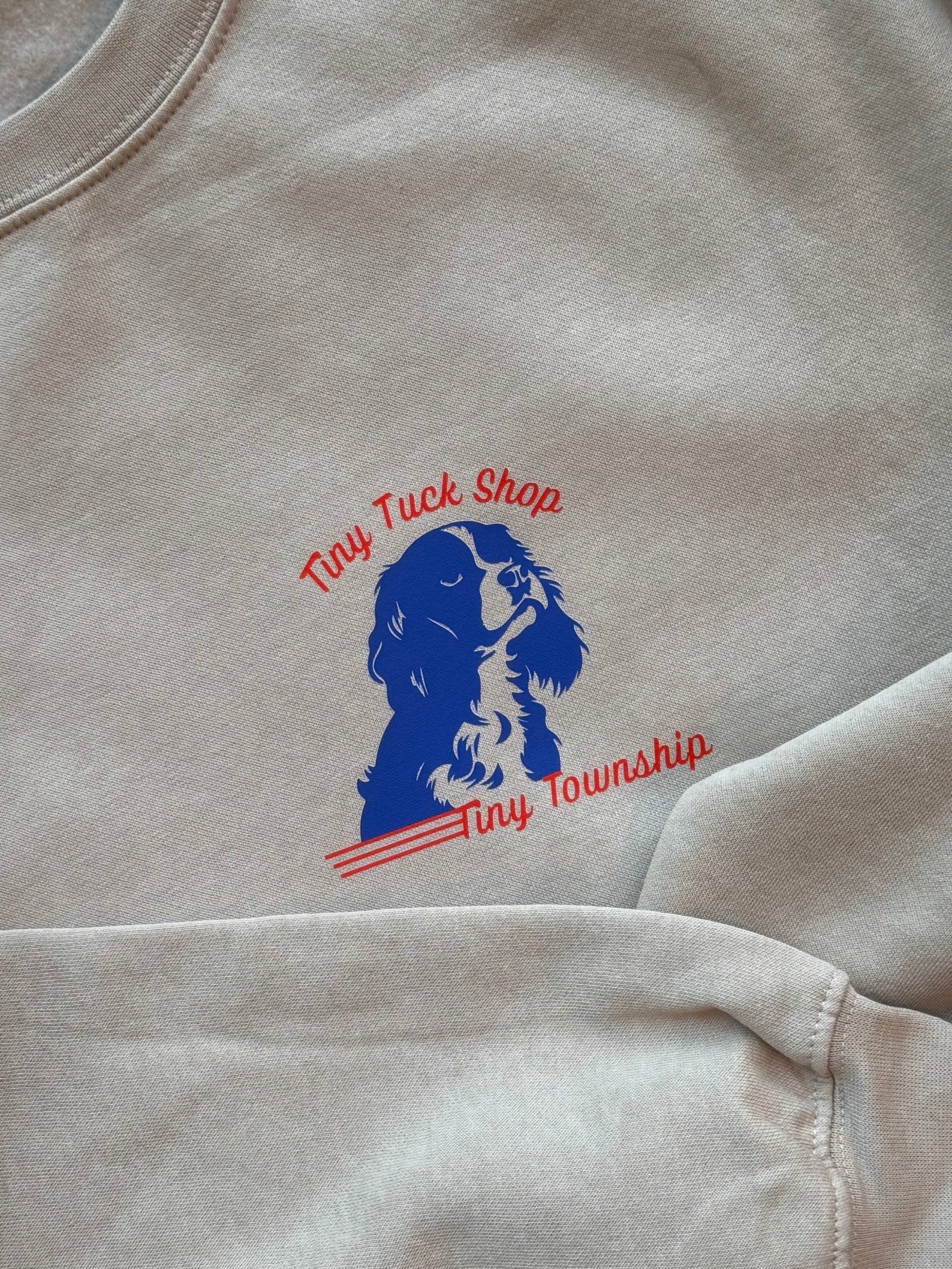 the "welcome to tiny" crew