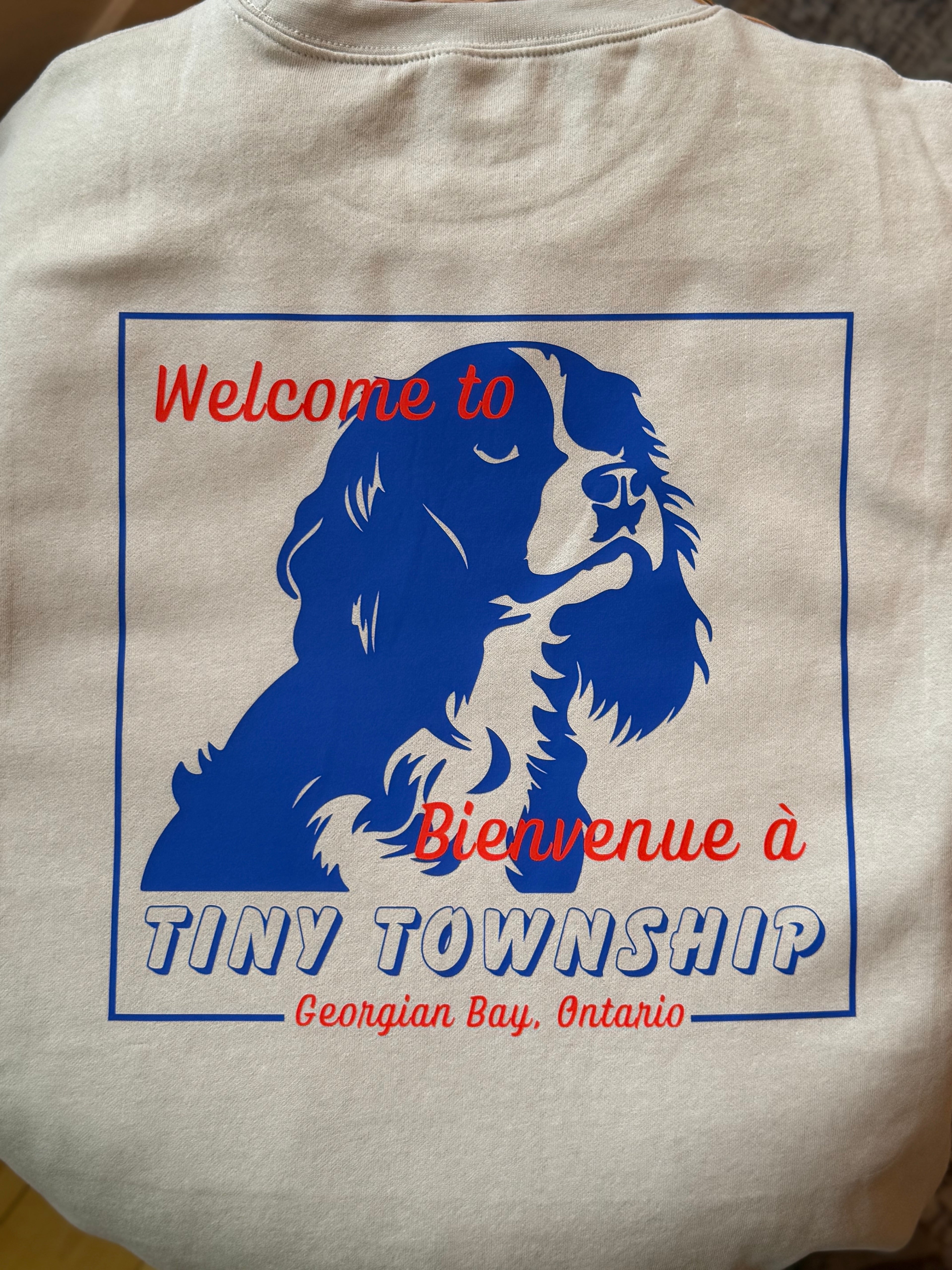 the "welcome to tiny" crew