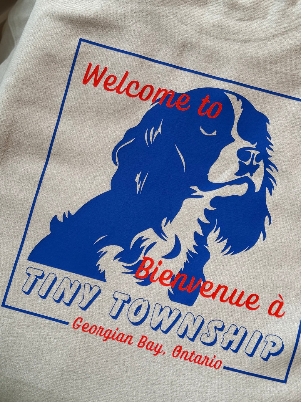 the "welcome to tiny" crew